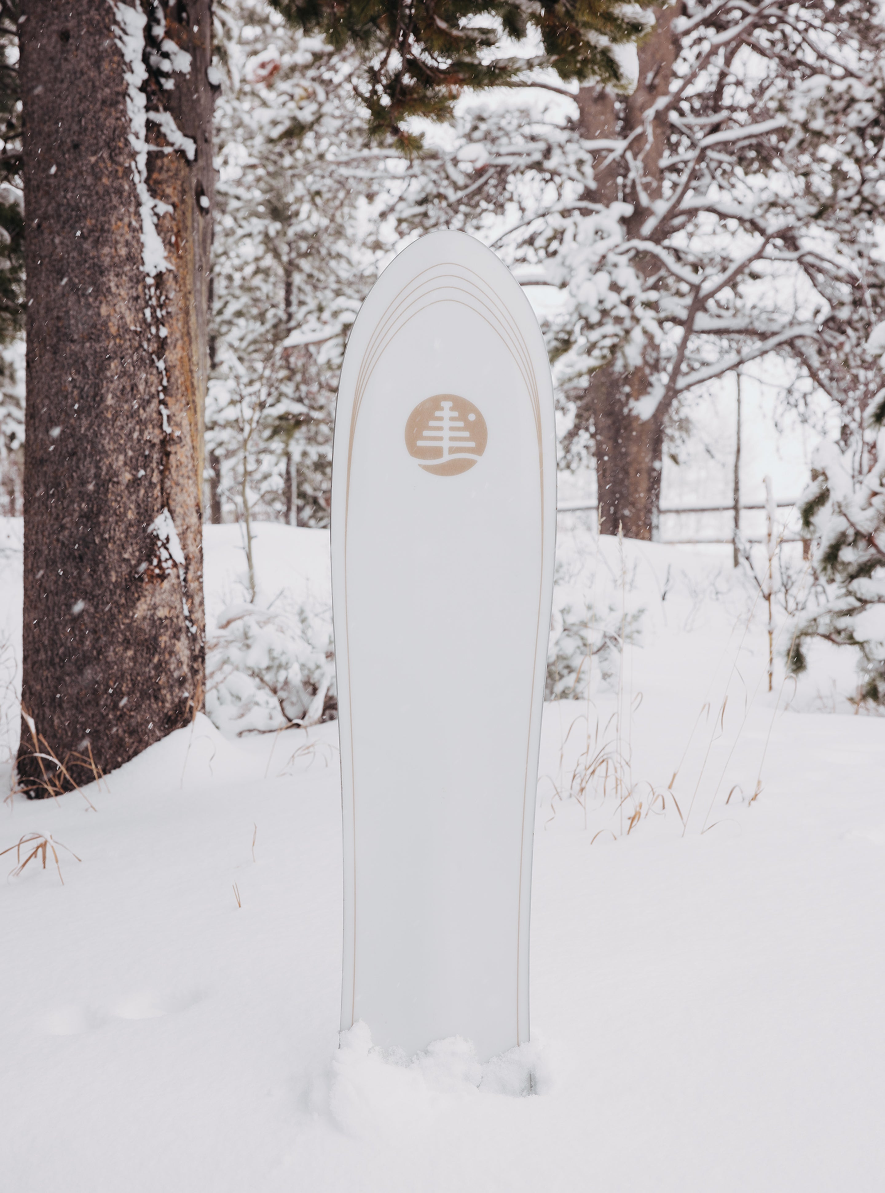 Burton Backseat Driver powsurfer 140 grafikk