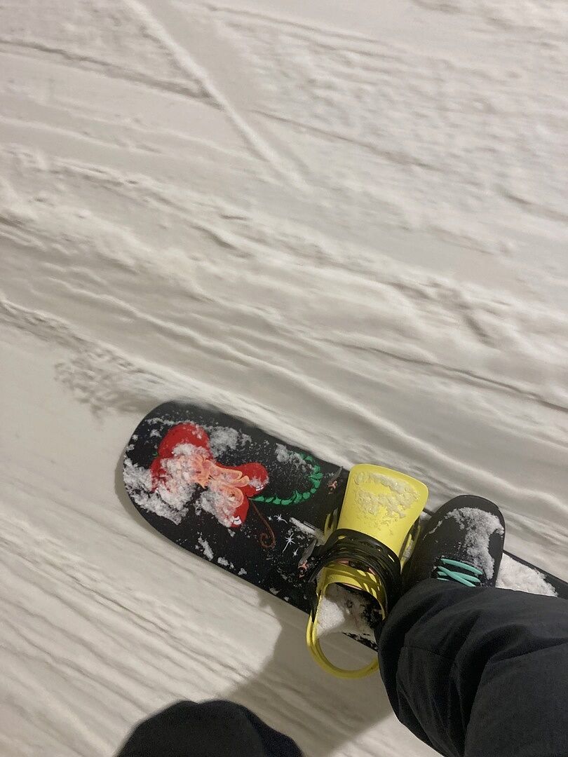 Burton Blossom Camber snowboard Dragon 155 true twin