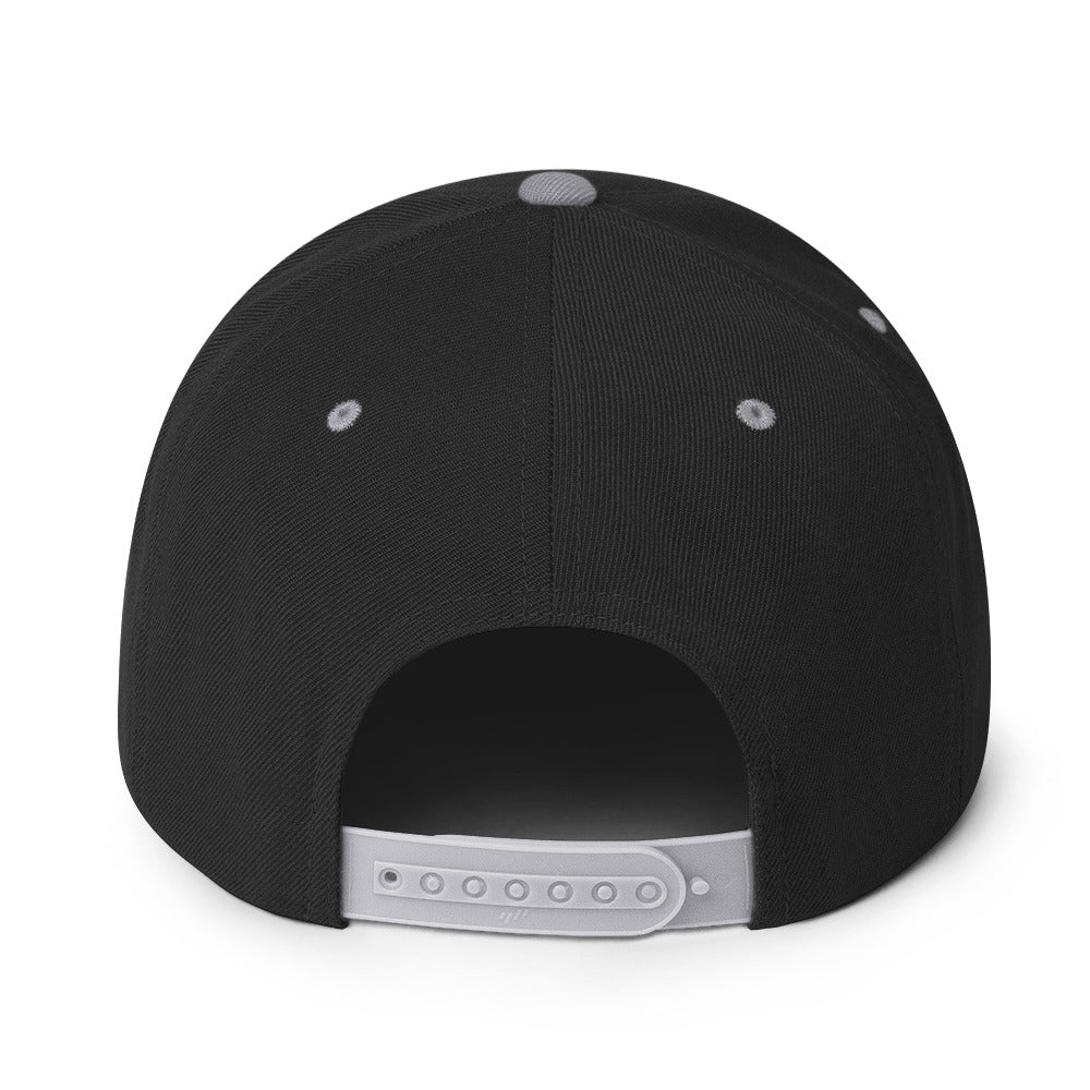 OAC Ski Skinbased caps snapback akryl ull