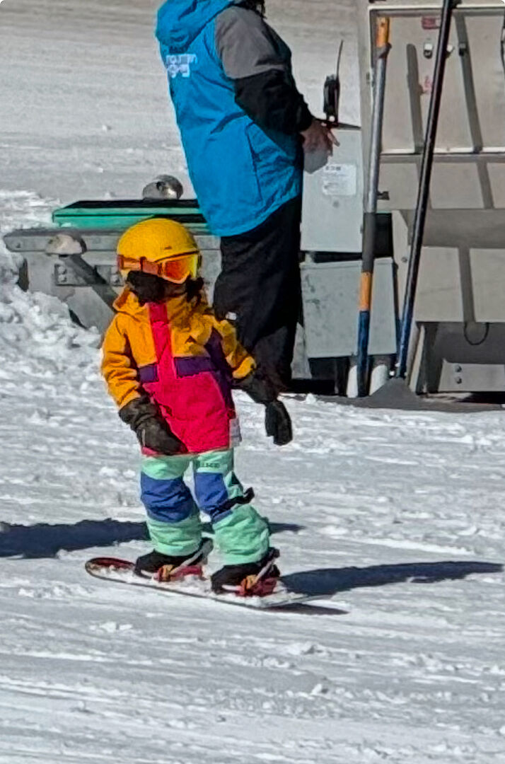 Burton Grom Flat Top snowbrett barn Purple Teal nybegynner