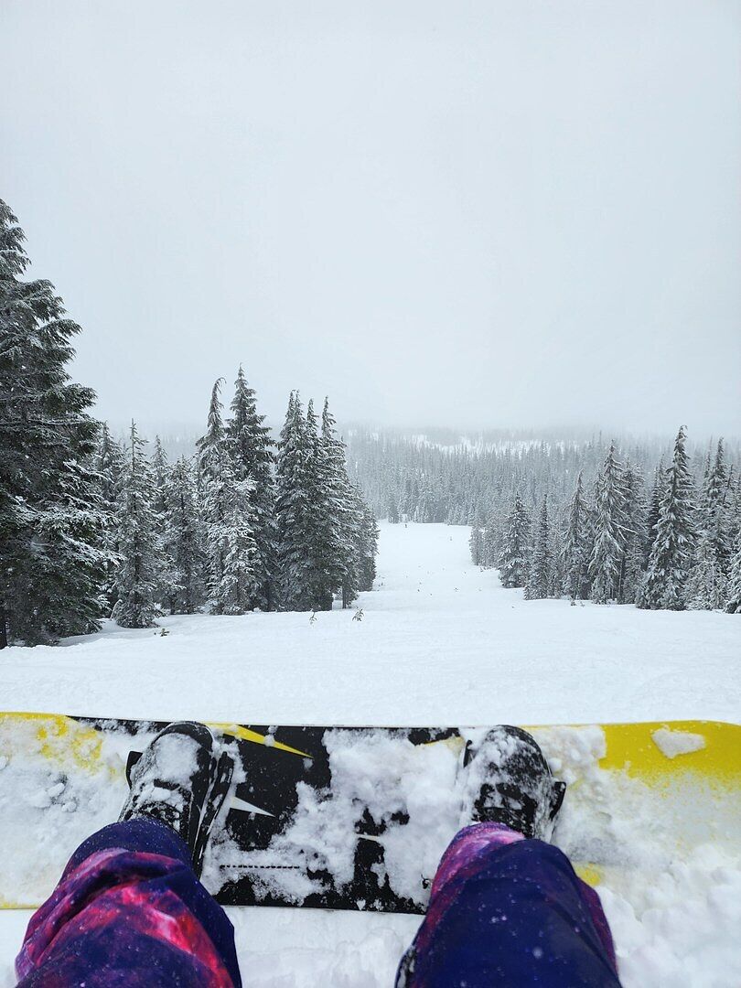 Burton Step On X snowboardbinding svart L karbon