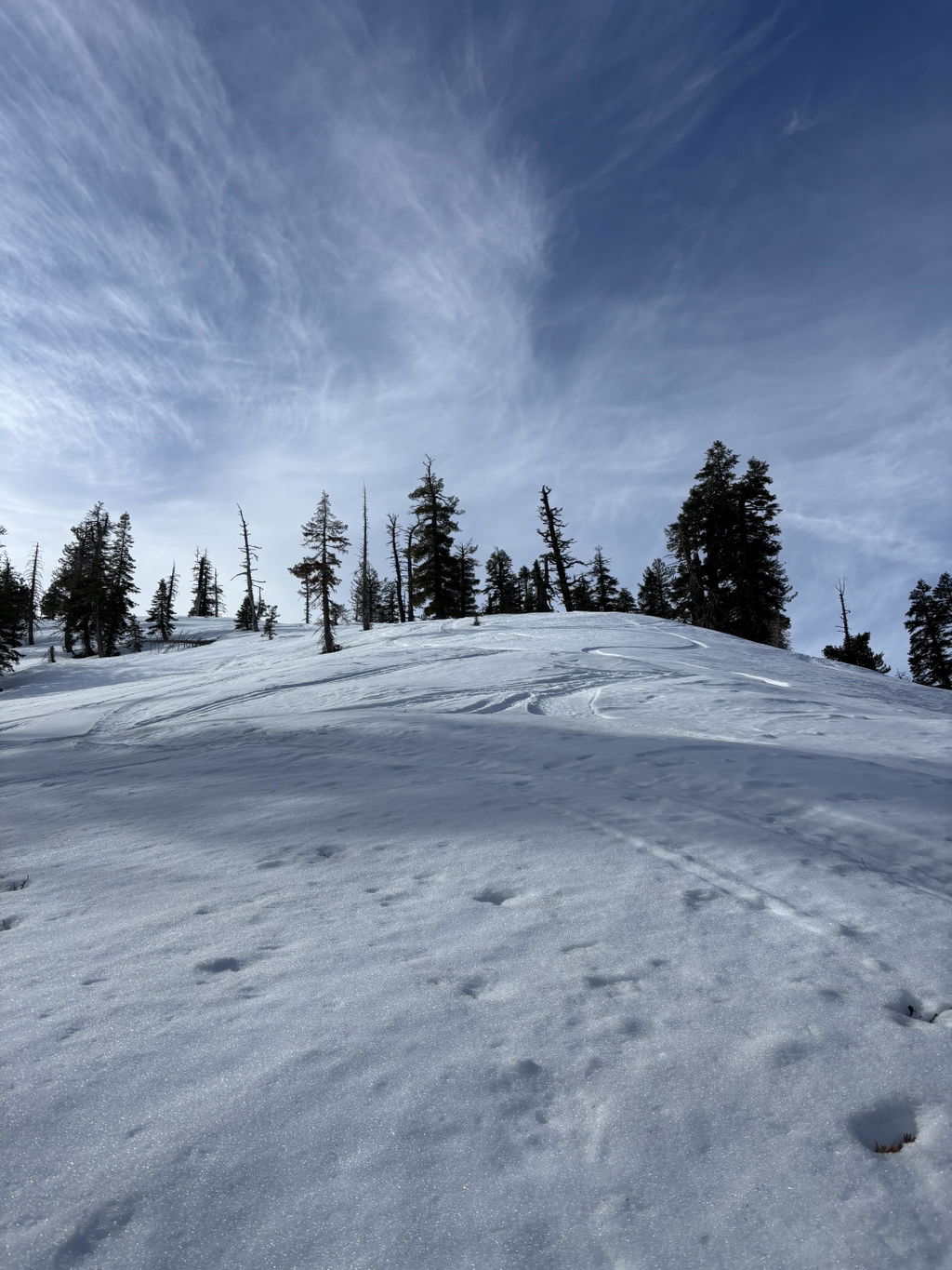 Jones Nomad ferdigkuttede feller Gray splitboard