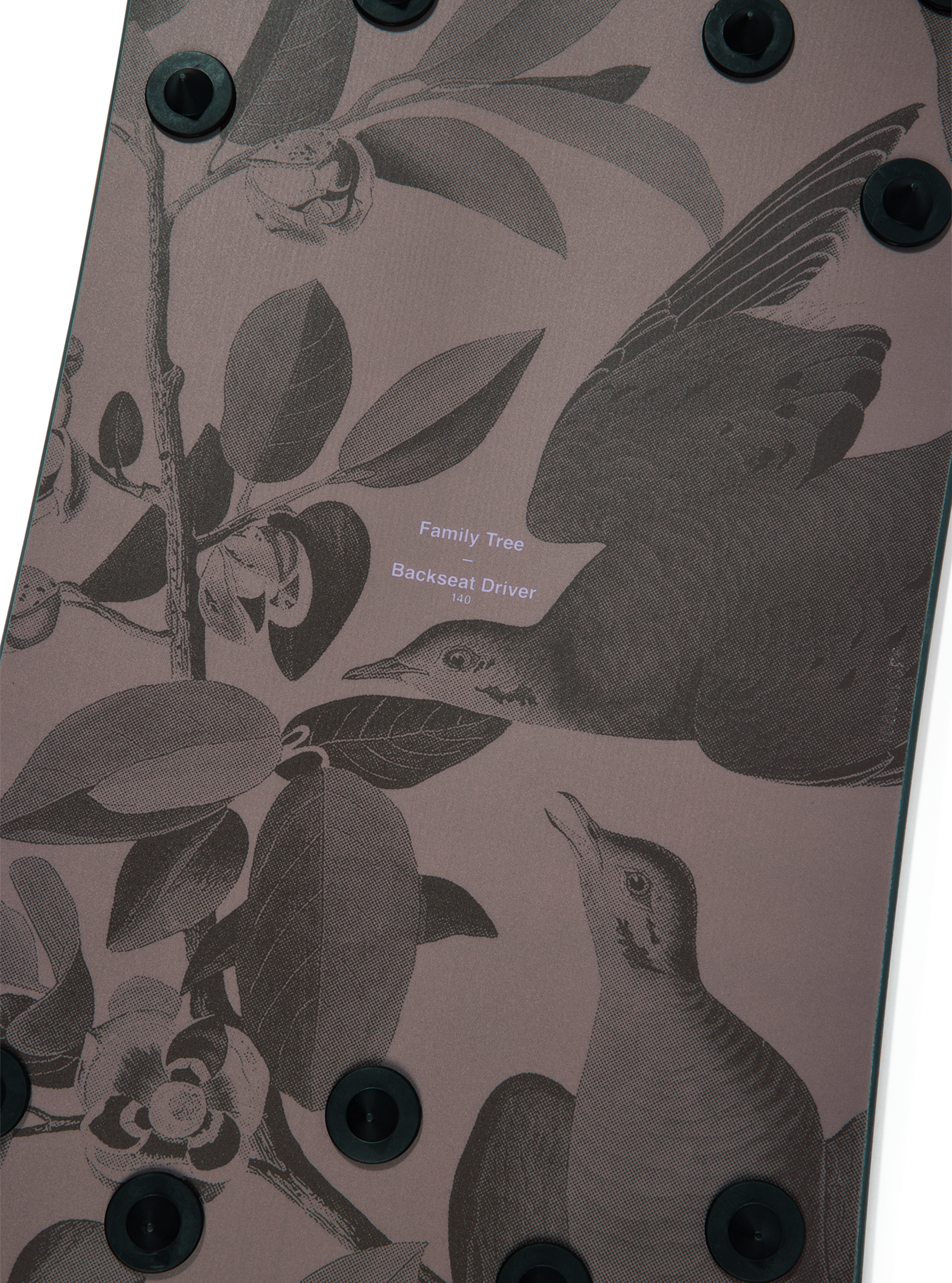 Burton Backseat Driver powsurfer 140 grafikk