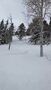 Burton Lexa X EST snowboardbinding Shockwave Pink M stiv