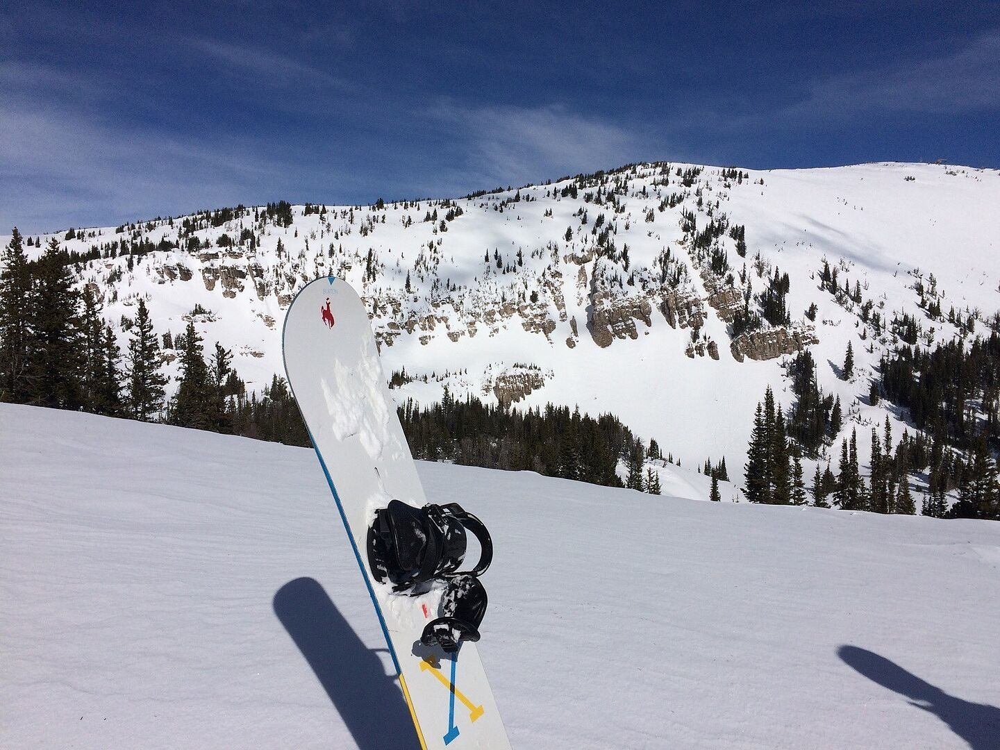 Burton Driver X snowboardstøvler Black stive