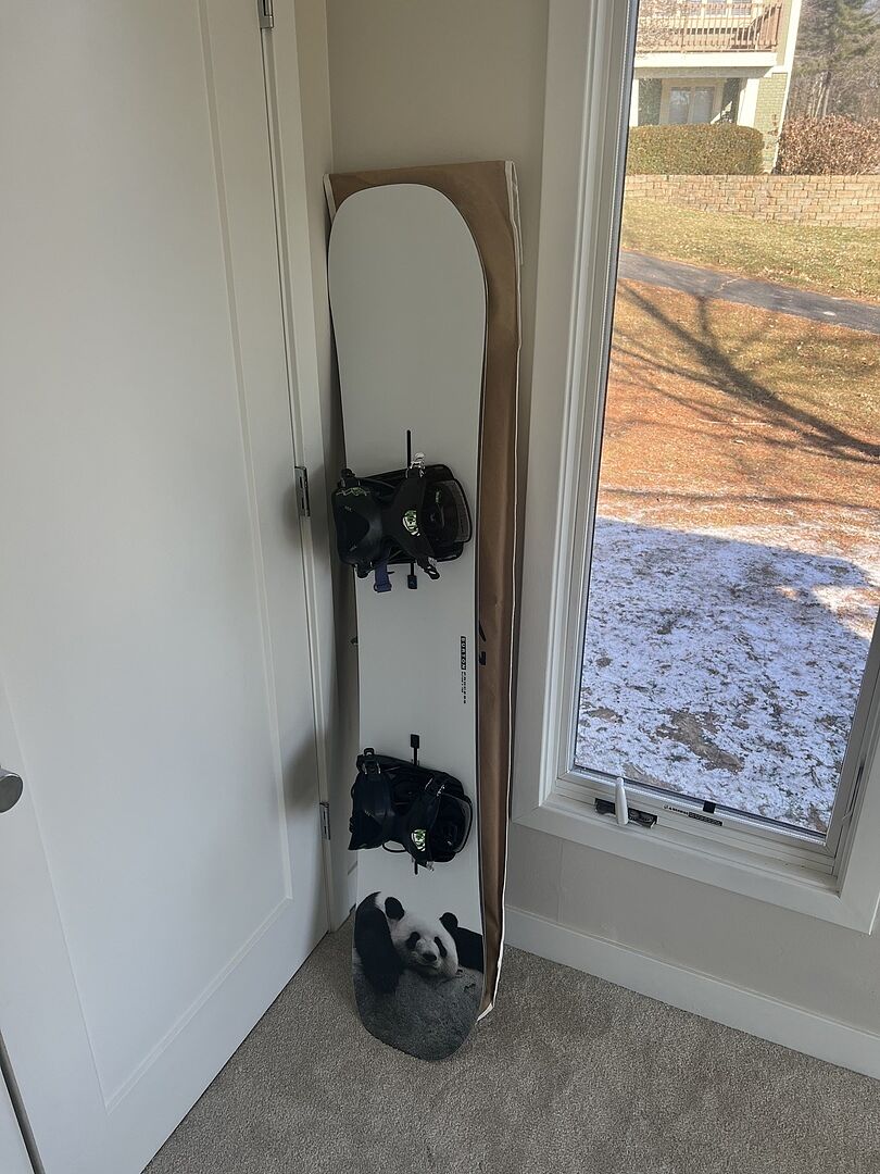 Burton Process Flying V snowboard Good Dog twin