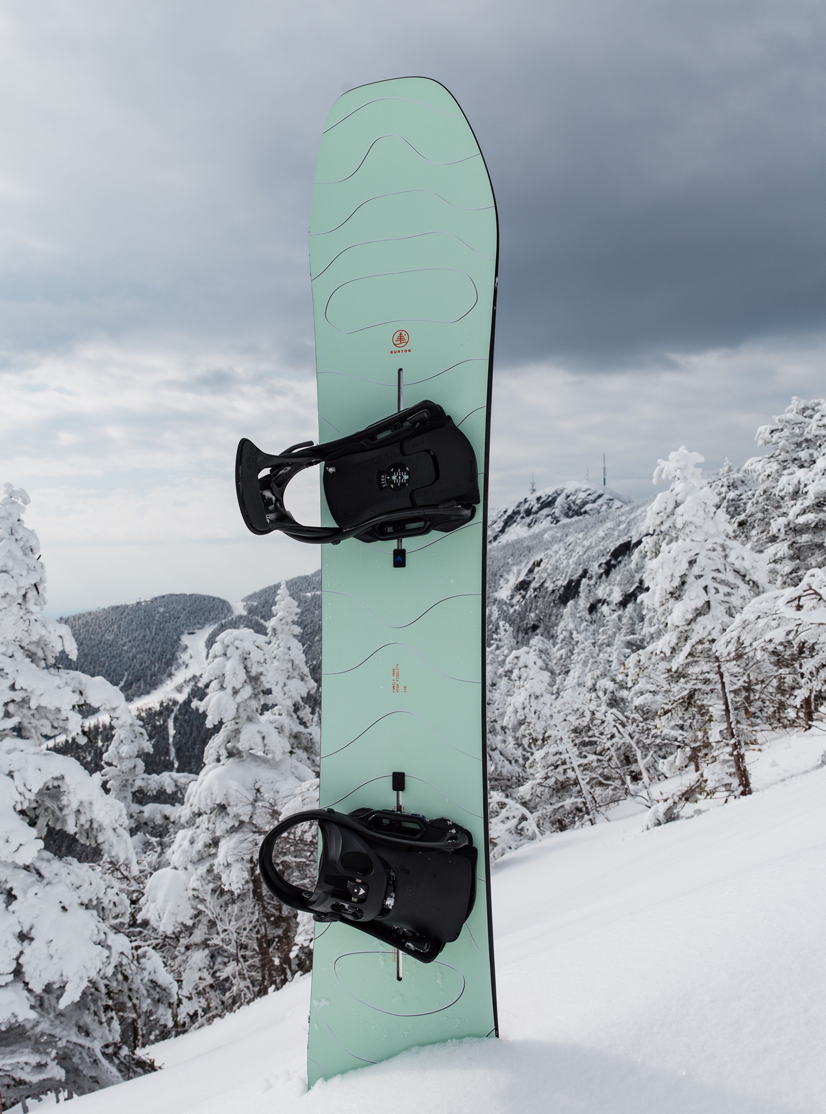 Burton Family Tree High Fidelity Camber snøbrett Force fjell