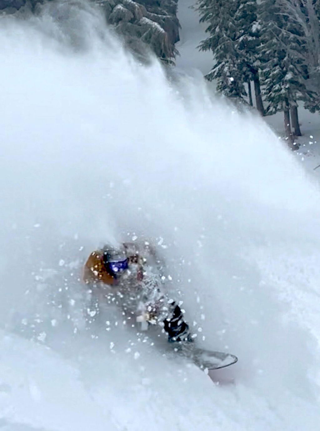 Jones Storm Chaser snowboard pudder fish