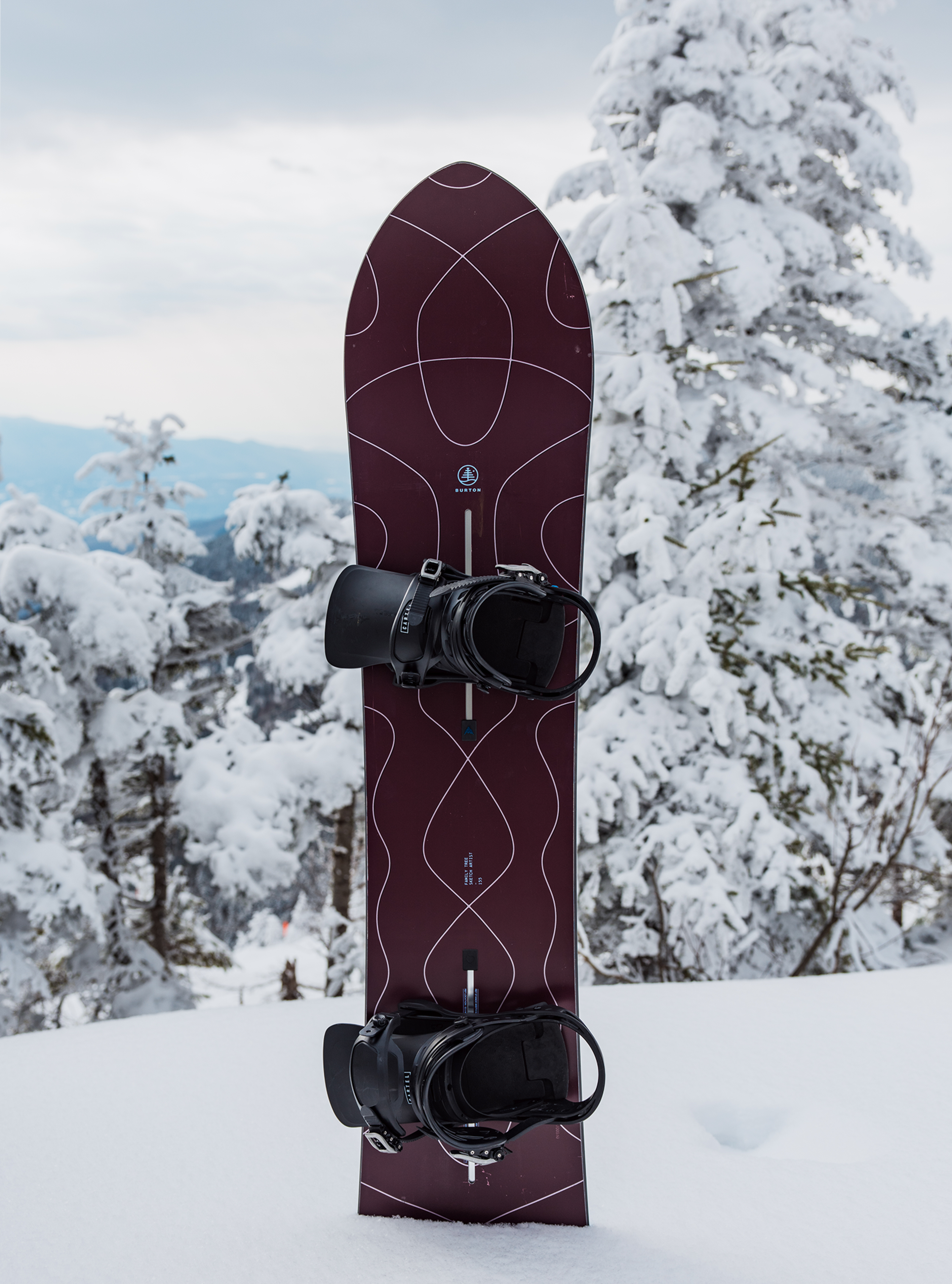 Burton Family Tree Sketch Artist Camber snøbrett 155 Wind freestyle