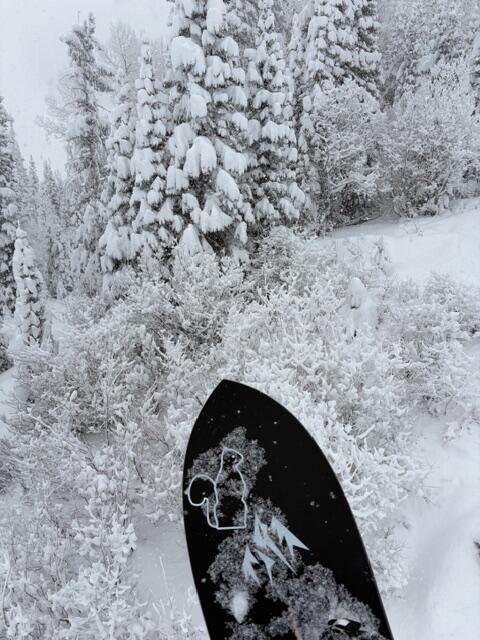 Jones Storm Chaser snowboard pudder fish
