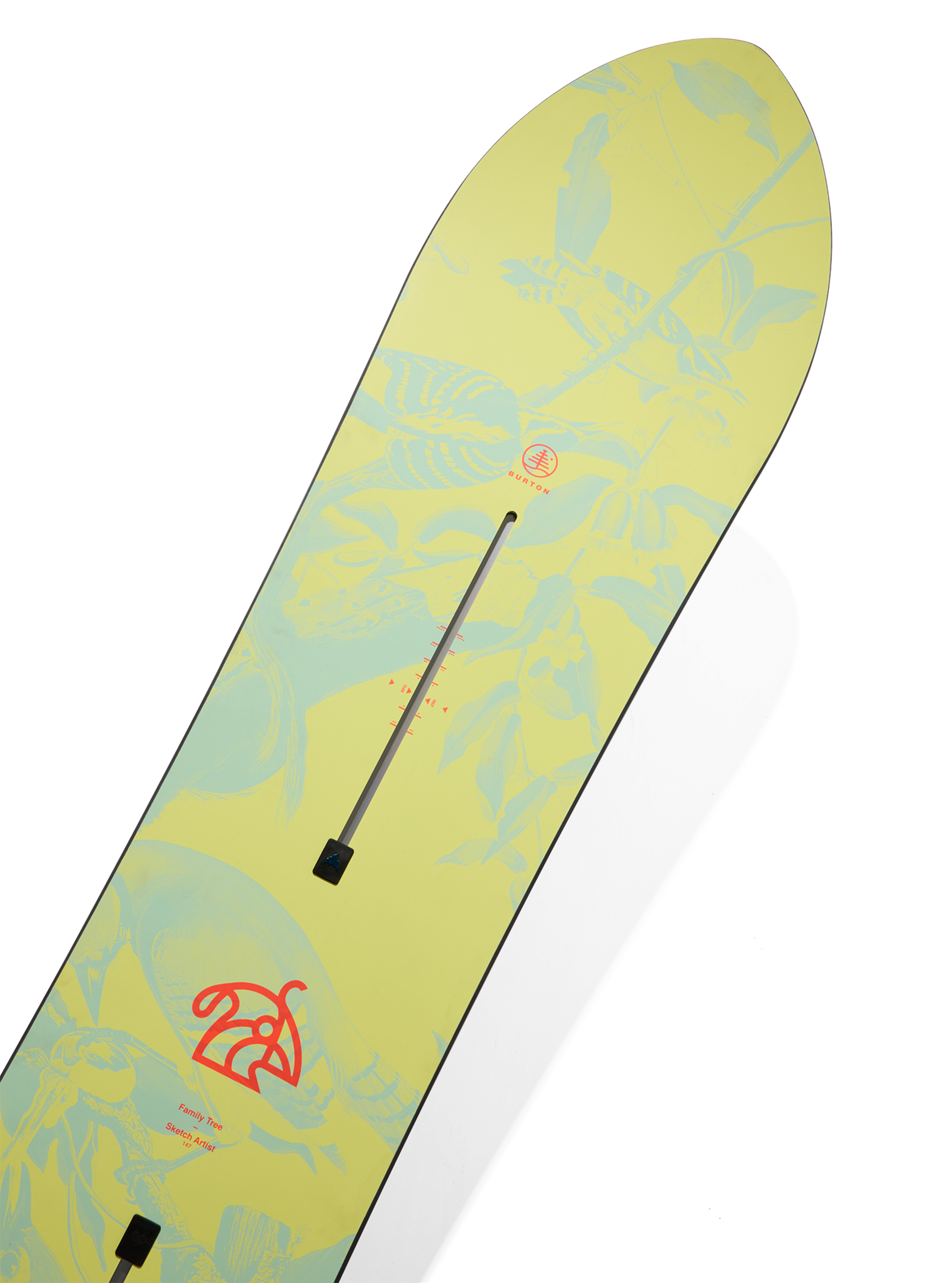 Burton Family Tree Sketch Artist Camber snøbrett 155 Graphic freestyle