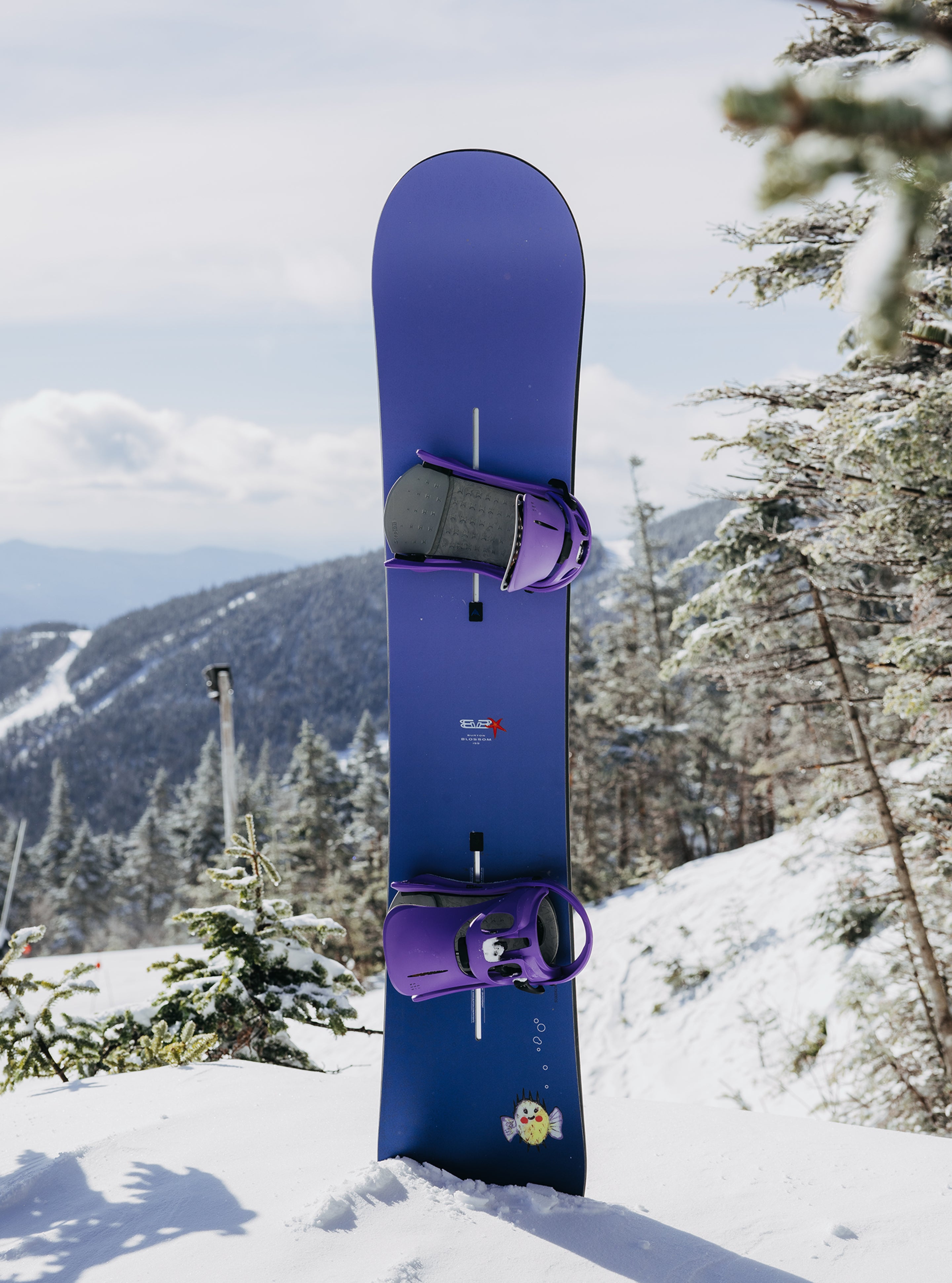 Burton Blossom Camber snowboard Dragon 155 true twin