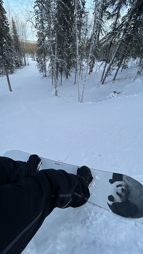 Burton Process Flying V snowboard Good Dog twin