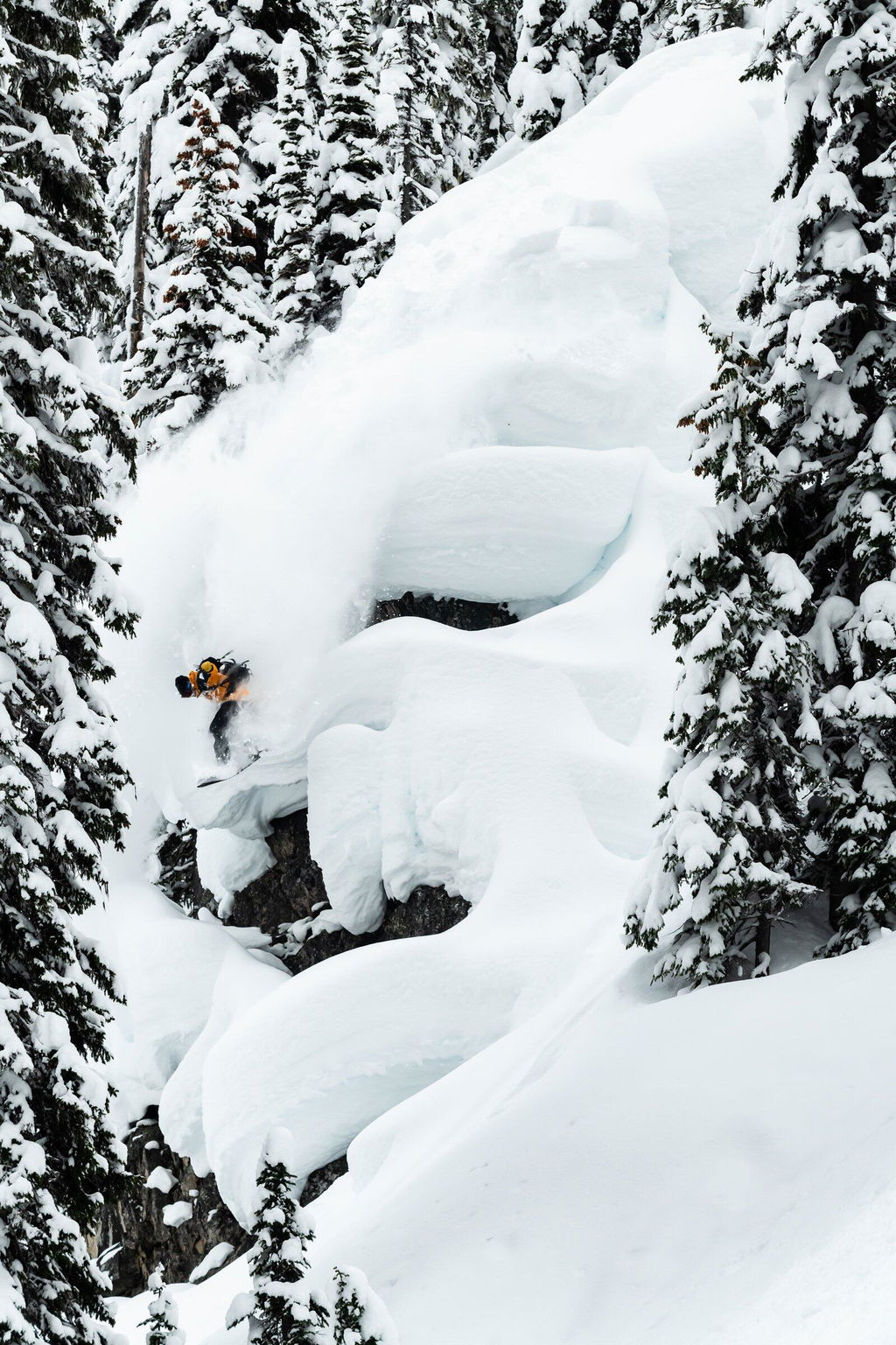 Jones Flagship PRO snowboard 161 freeride