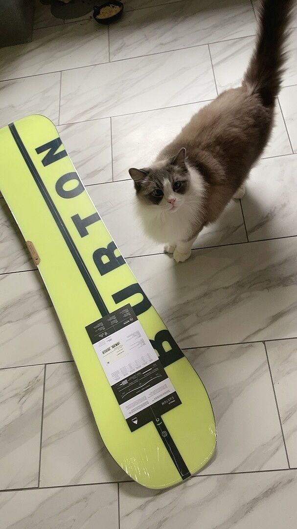 Burton Custom Smalls snowboard 130 camber