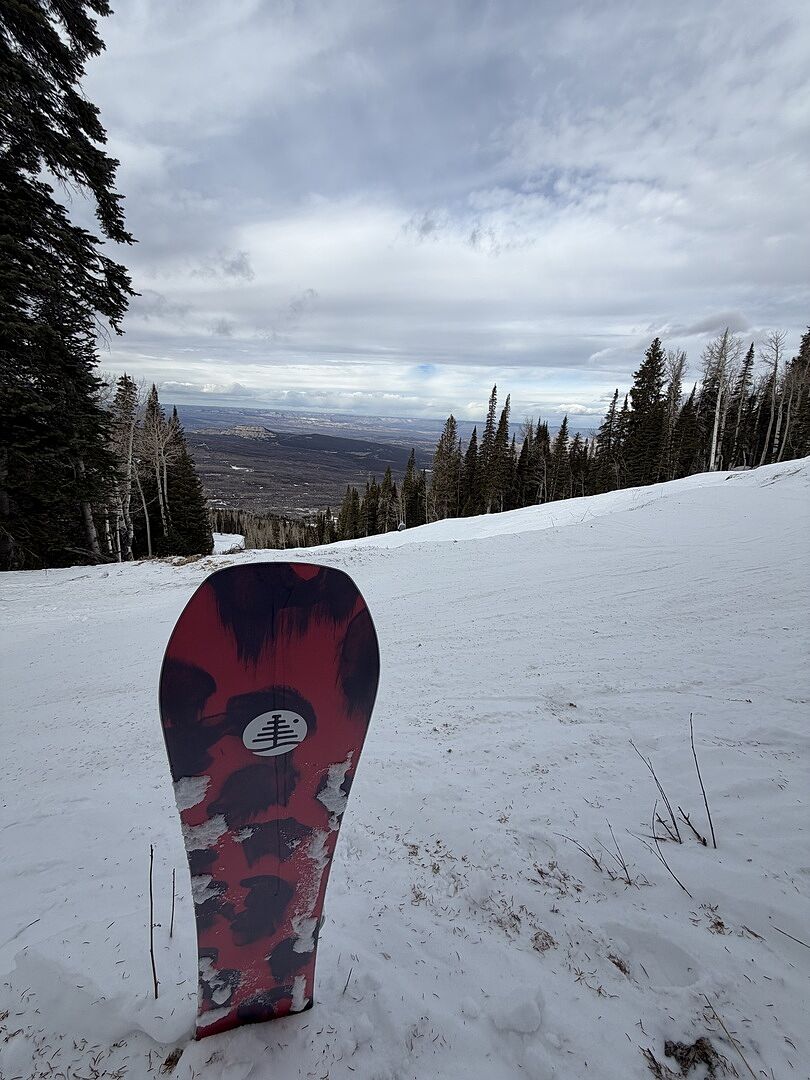 Burton Family Tree Hometown Hero Camber snowboard 156 flyt