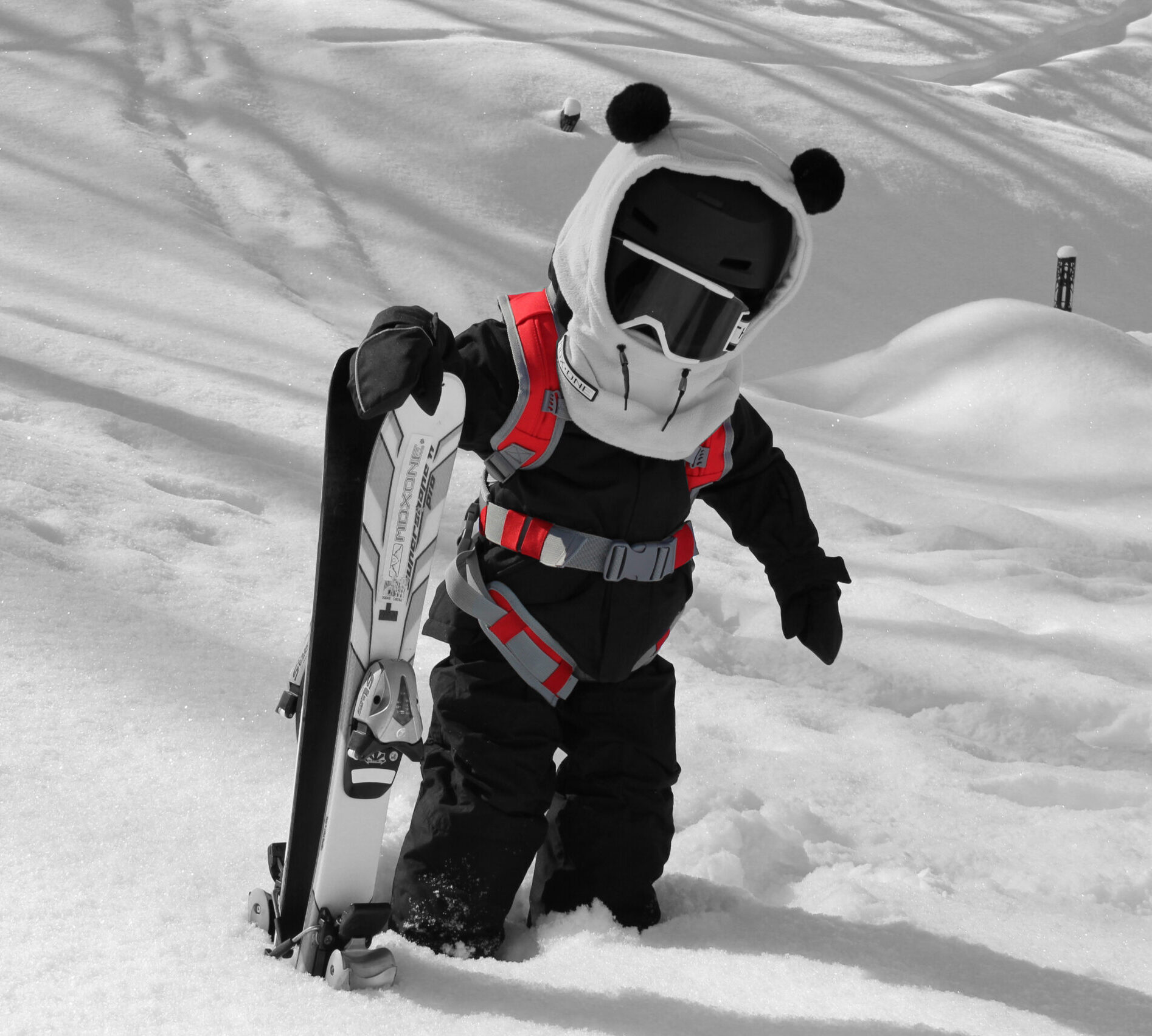 MDX One Static skisele barn maks 20 kg
