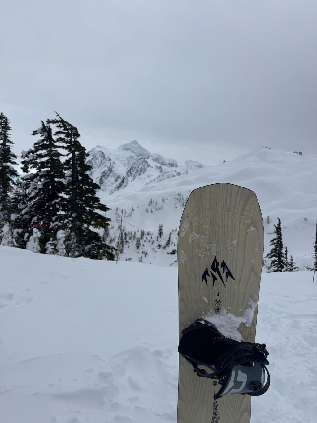 Jones Flagship snowboard dame 149 pudder