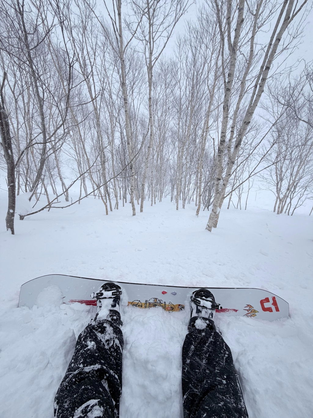 Jones Tweaker 2.0 snowboard herre 154 true twin