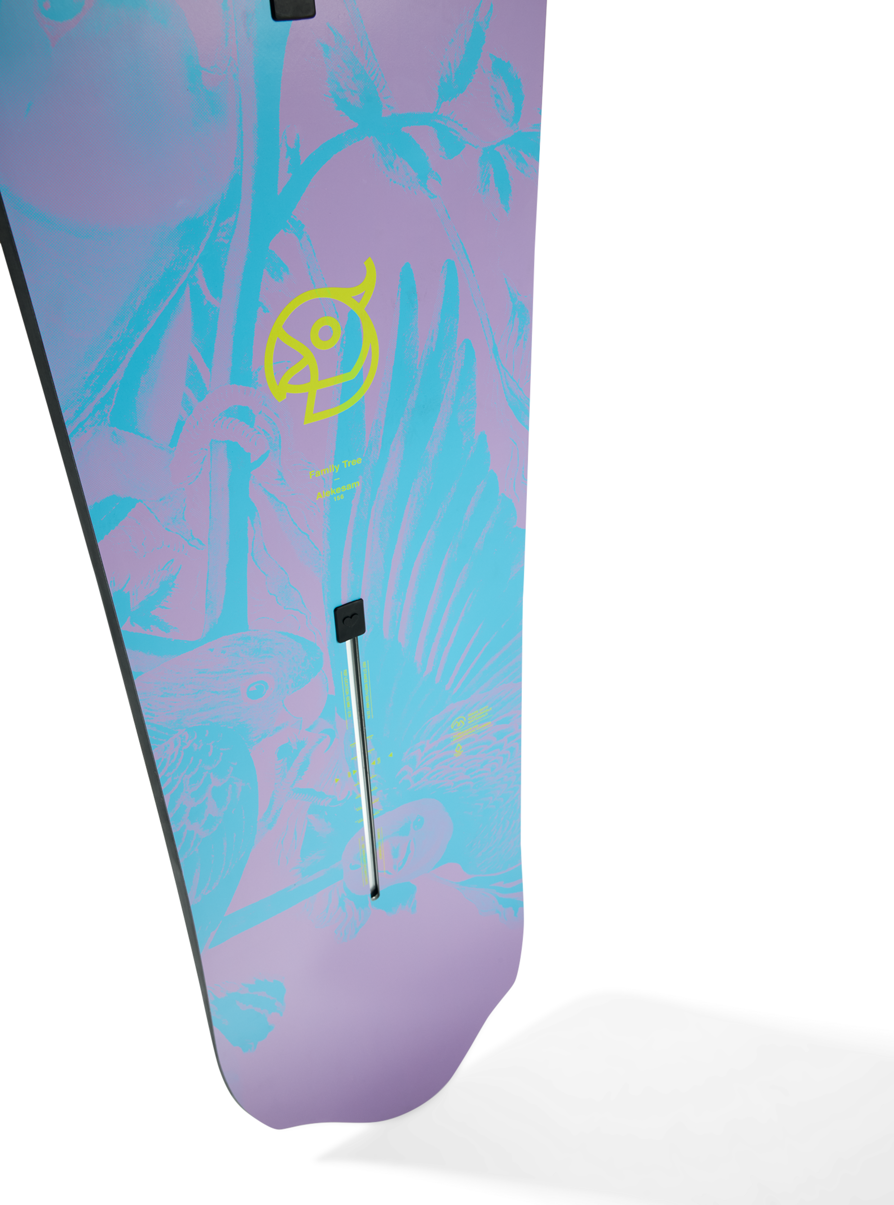 Burton Family Tree Alekesam Camber snøbrett Graphic surf