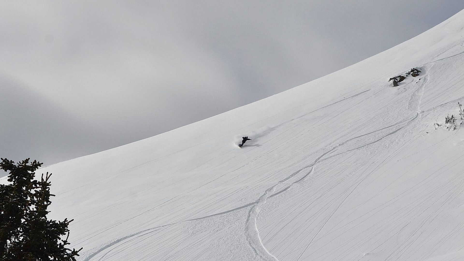 Burton Genesis binding herre Svart med stropper