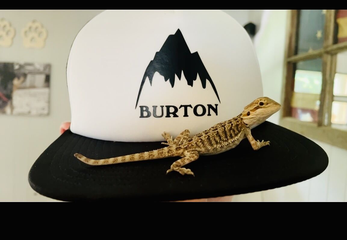 Burton I-80 Snapback Trucker caps Dried Moss pustende