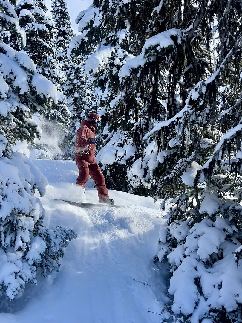Burton Family Tree High Fidelity Camber snøbrett Force fjell