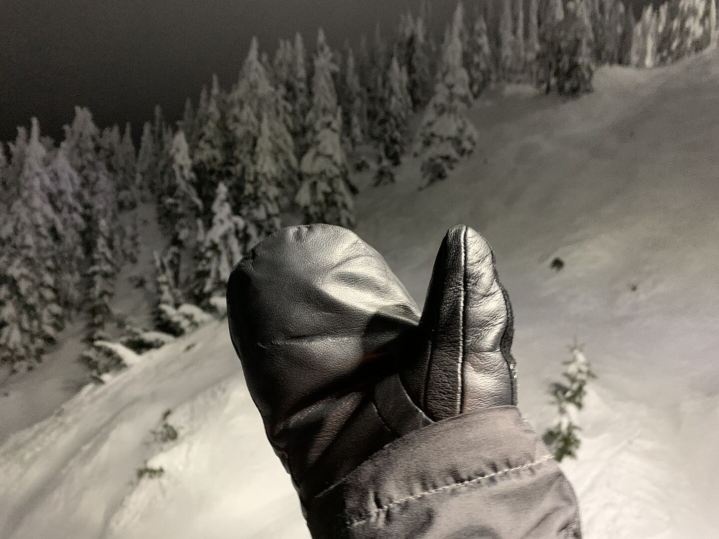 Burton Gondy GORE-TEX lær votter True Black vanntett