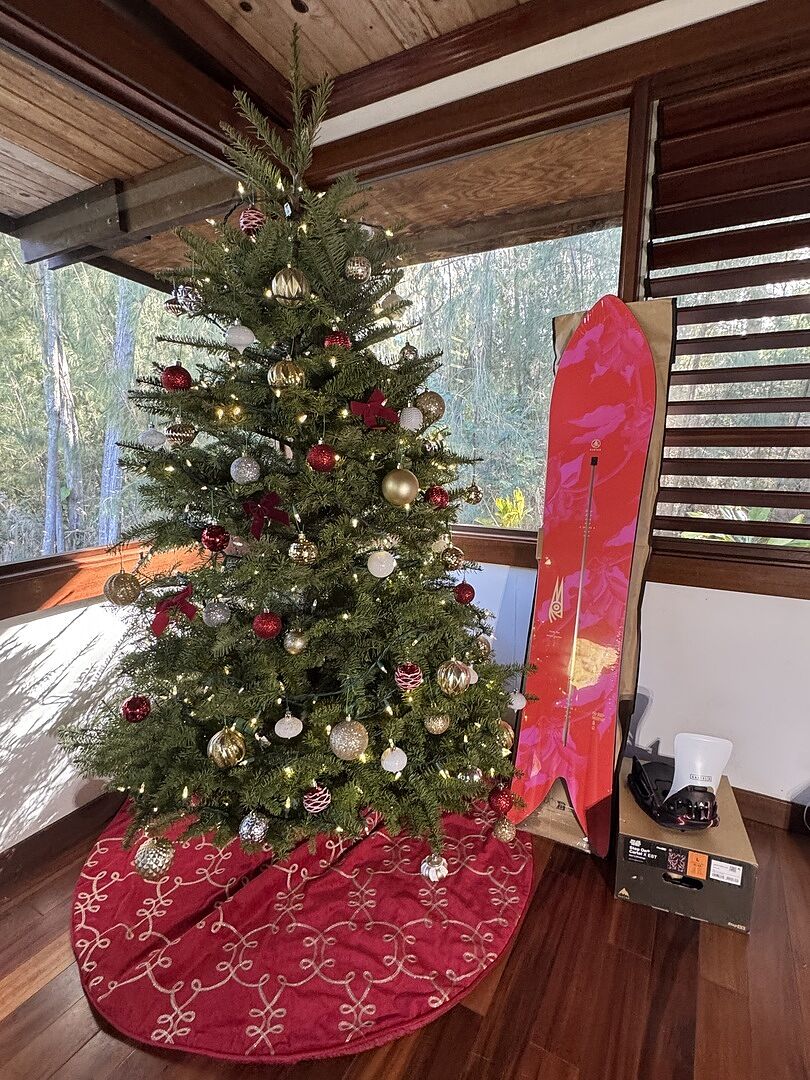 Burton Family Tree Smooth Operator Camber snøbrett 152 Water pudder