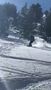 Burton Lexa X EST snowboardbinding Shockwave Pink M stiv