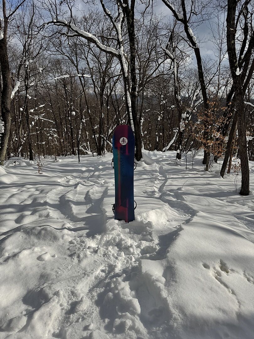 Burton Family Tree High Fidelity Camber snøbrett Force fjell