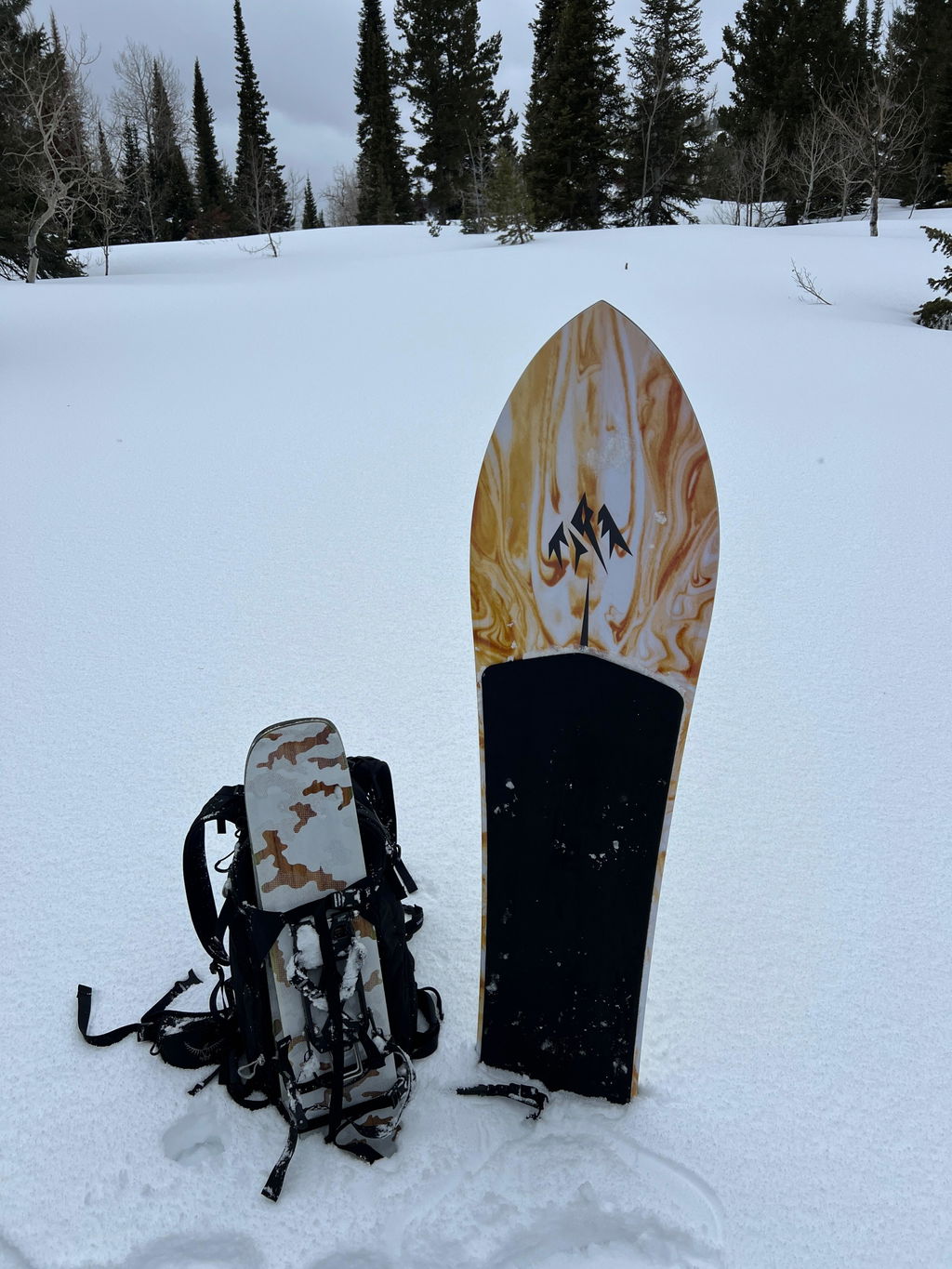 Jones Mountain Surfer 2025 powsurfer 142 uten bindinger
