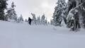 Burton Throwback snøbrett 100 Graphic surf