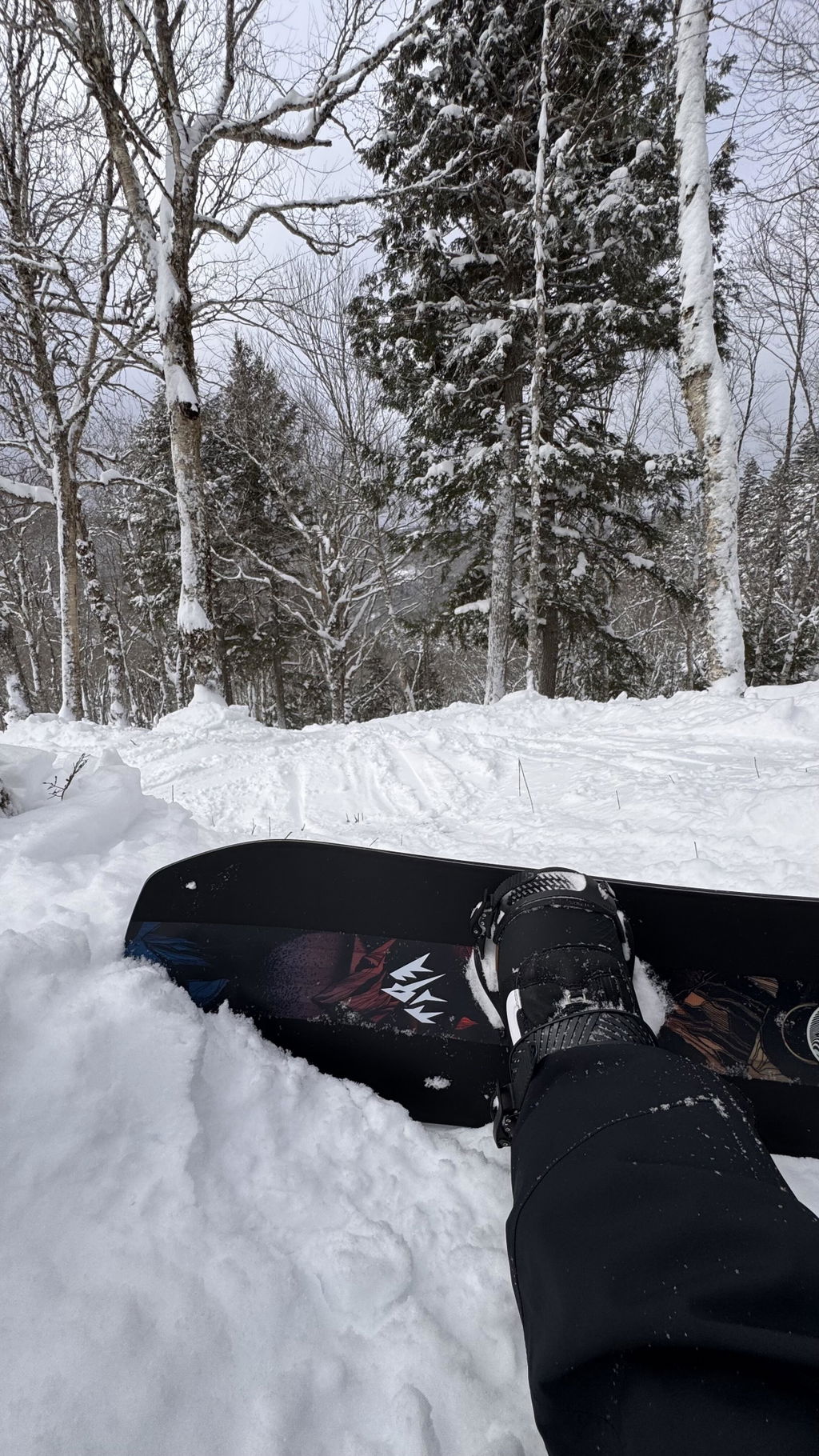 Jones Mountain Twin snowboard 157 allround