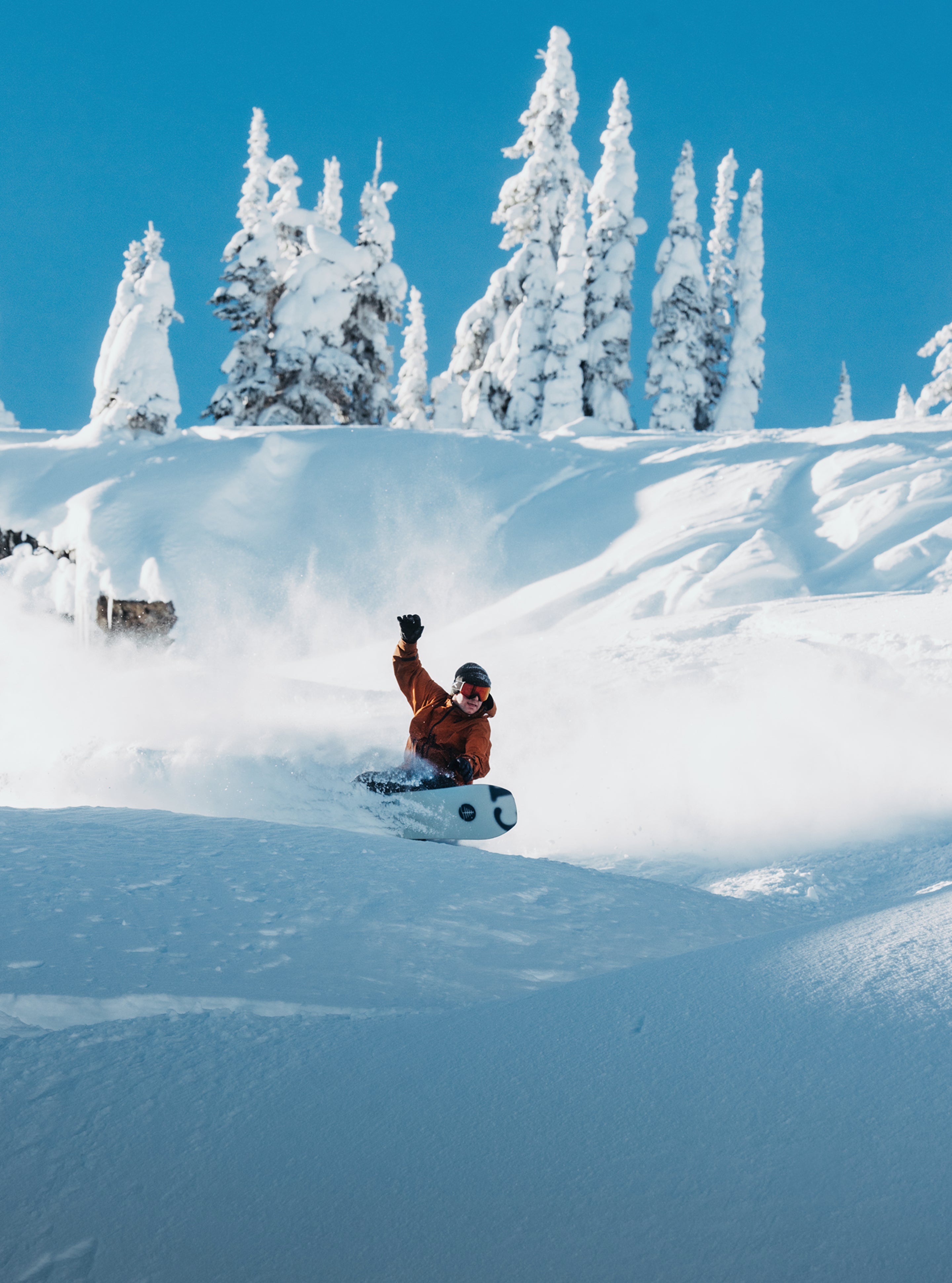 Burton Family Tree Hometown Hero Camber snowboard 156 direksjonal