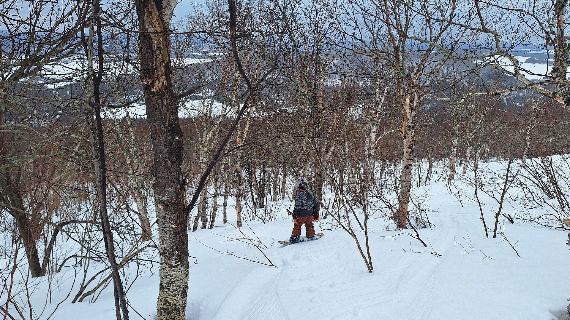 Burton Touch N Go hanskeinner touch Seersucker