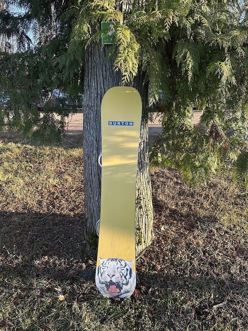 Burton Process Flying V snowboard Good Dog twin