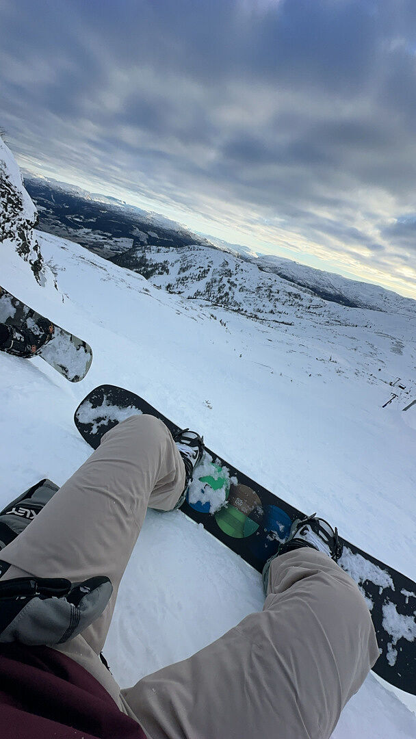 Burton Cartel X bindinger Marbled Stone allmountain