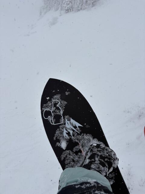 Jones Storm Chaser snowboard pudder fish