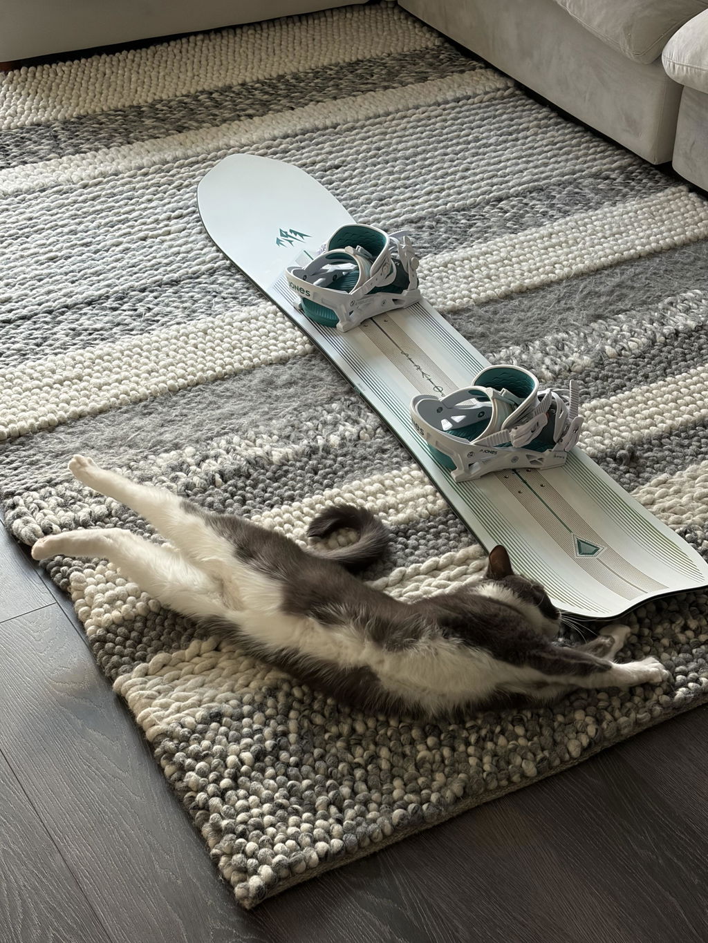 Jones Stratos snowboard 159 herre pudder