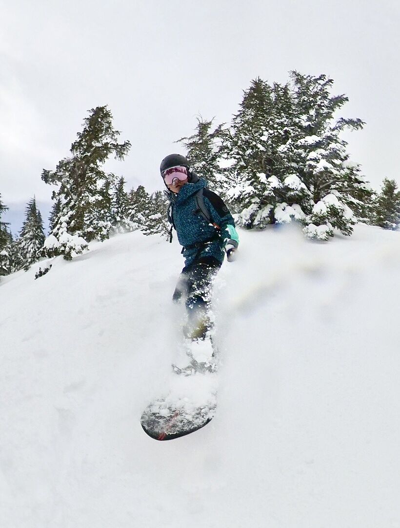 Burton 3D Fish snowboard 156 retningsbestemt pudder