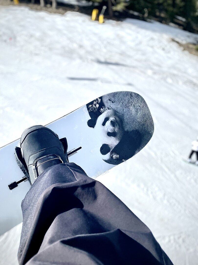 Burton Process Flying V snowboard Good Dog twin