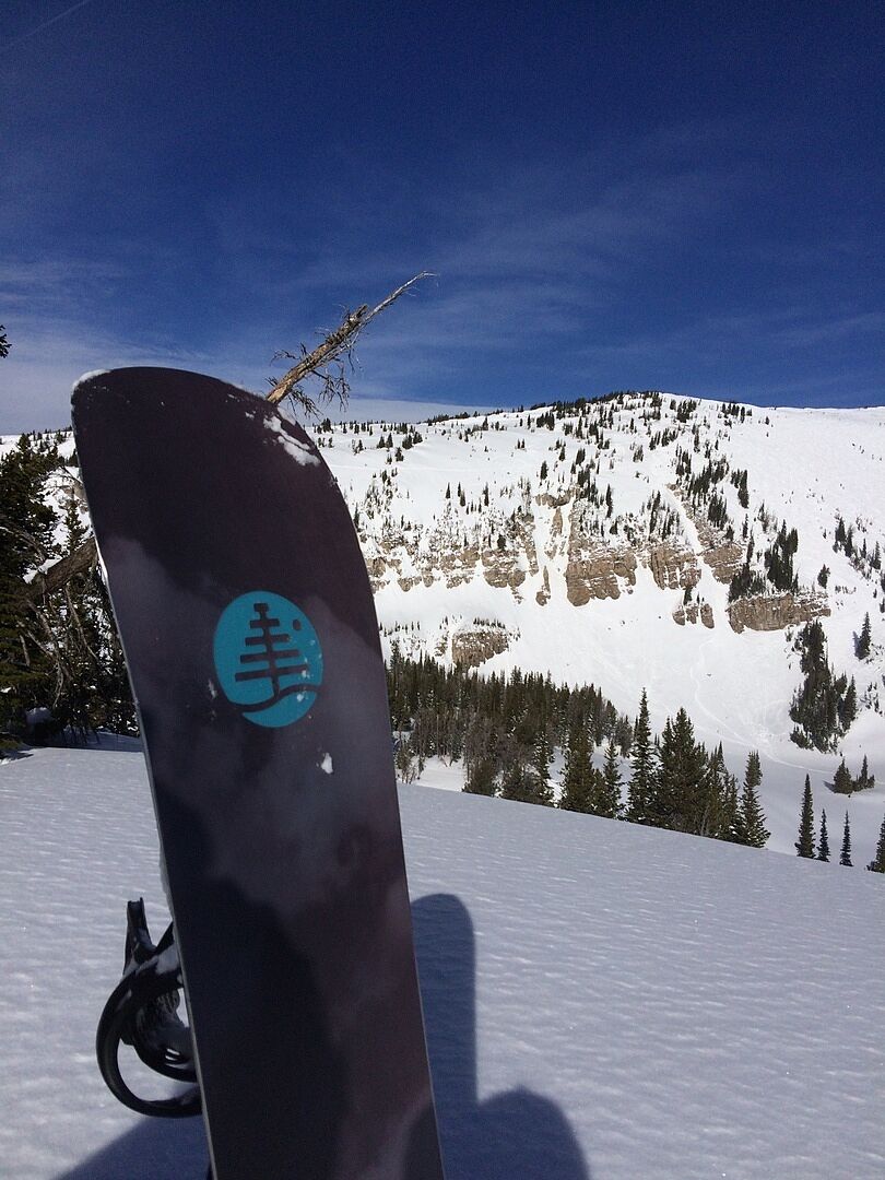 Burton Driver X snowboardstøvler Black stive