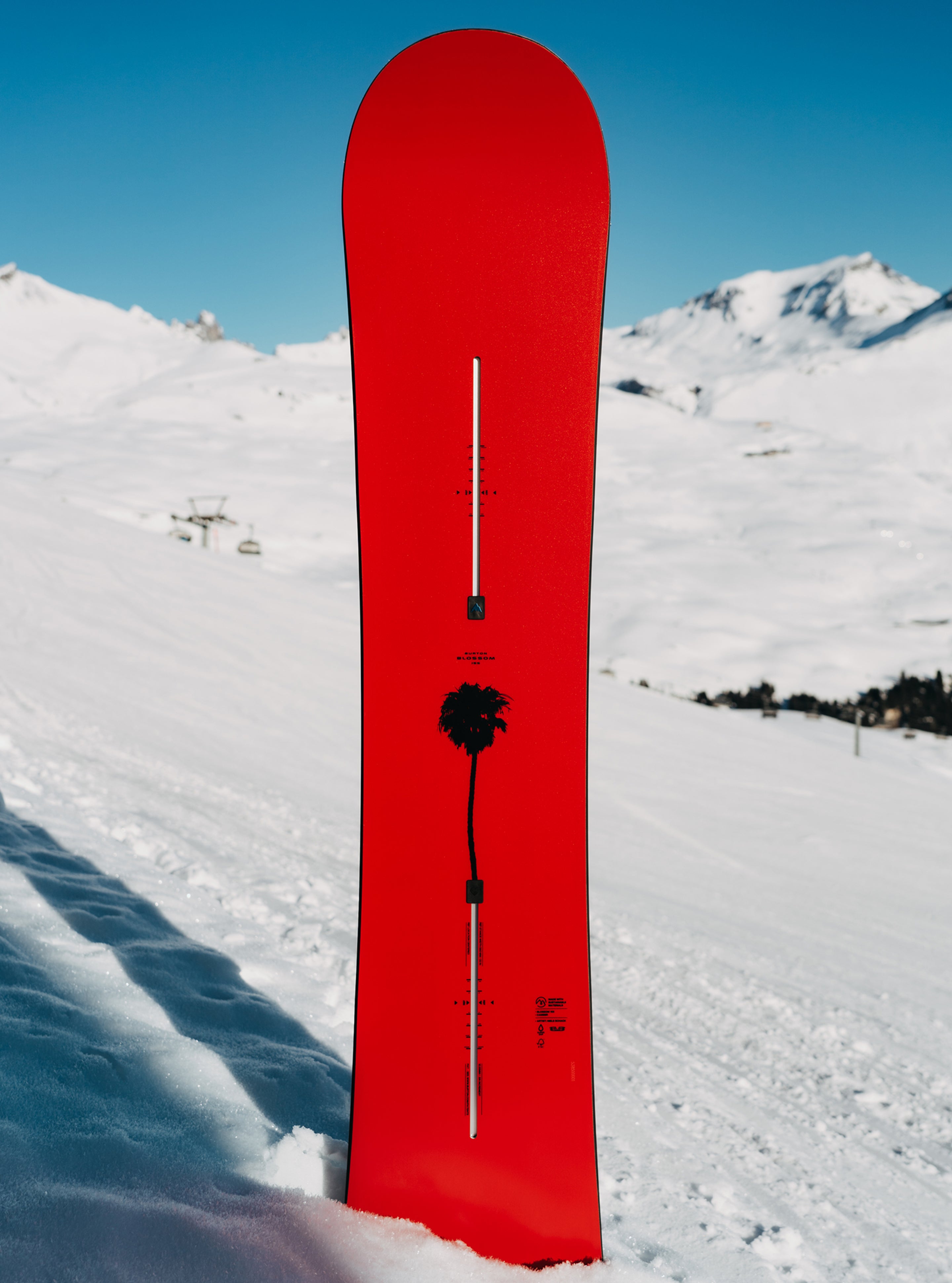 Burton Blossom Camber snowboard Frog 152