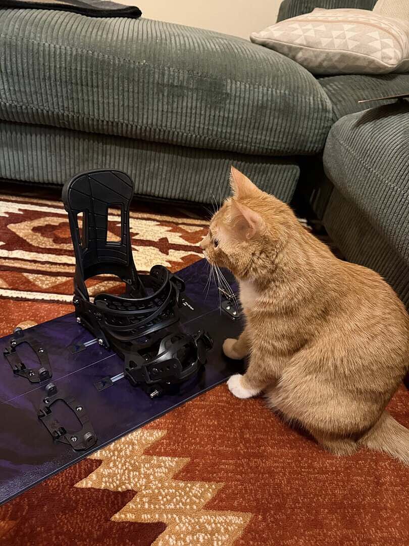 Burton Hitchhiker splitboardbinding svart Tesla T1