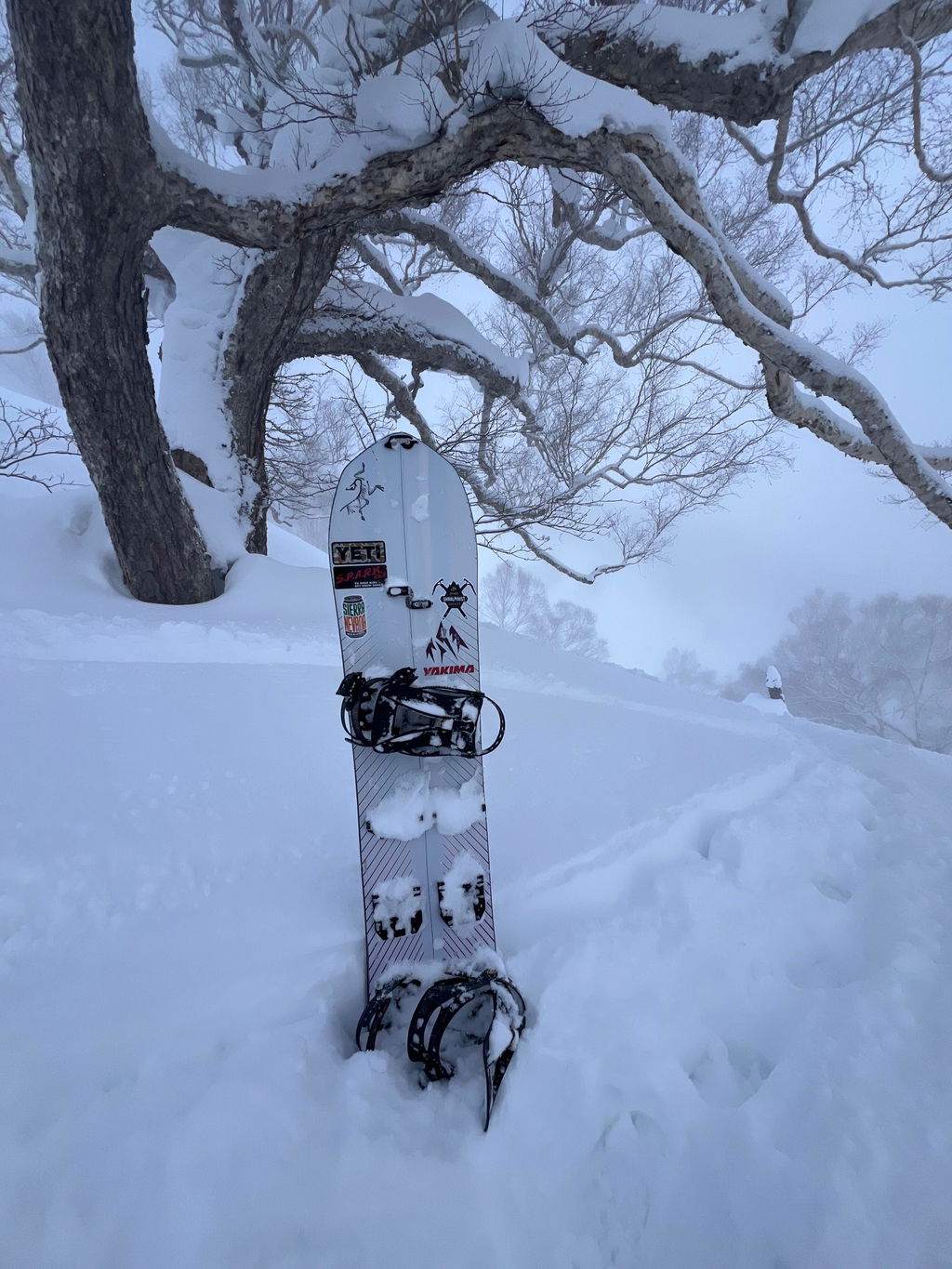 Jones Stratos splitboard herre 159 pudderprofil