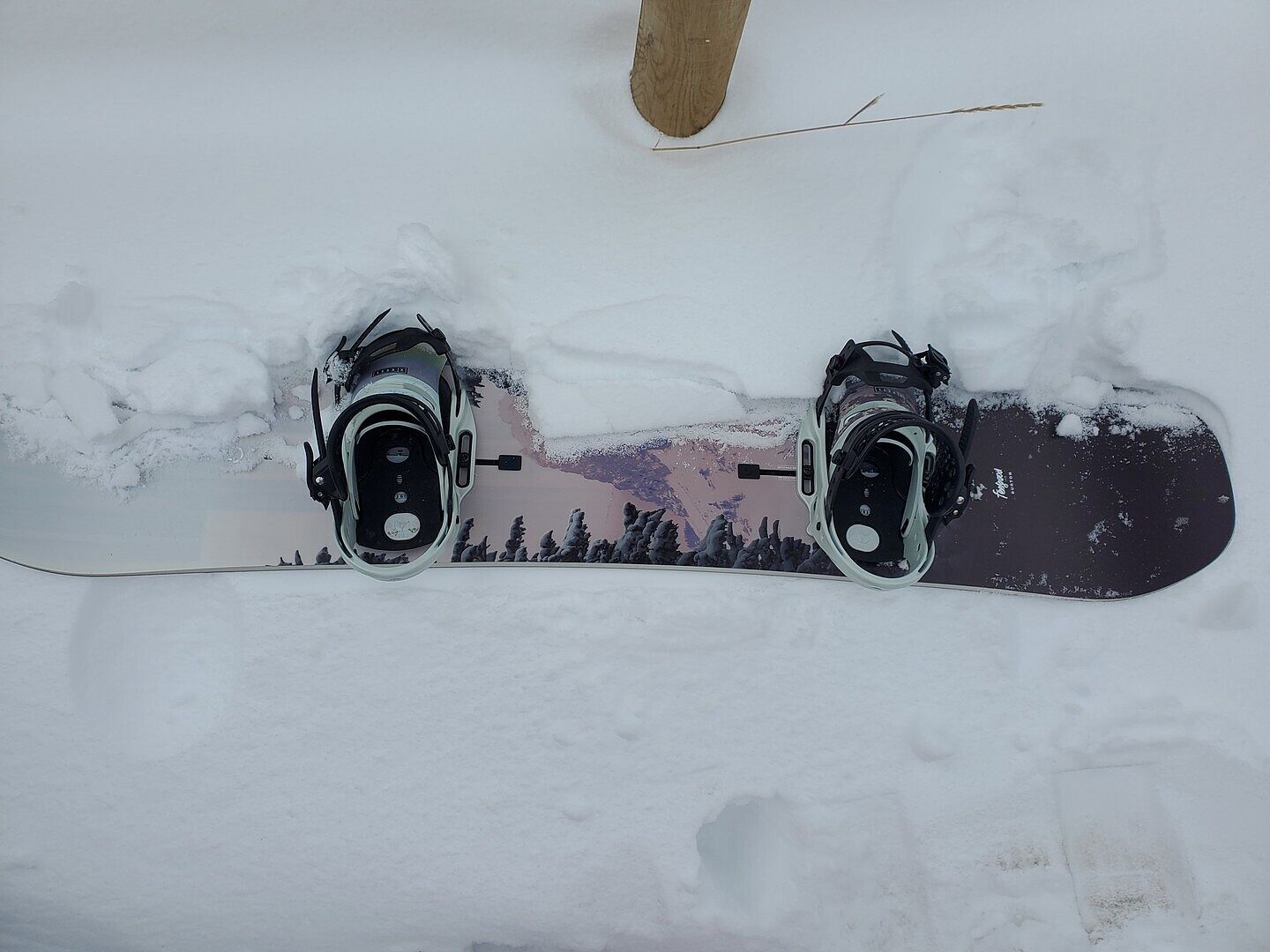 Burton Lexa X EST snowboardbinding Shockwave Pink M stiv